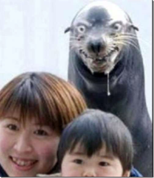 Naughty Seal