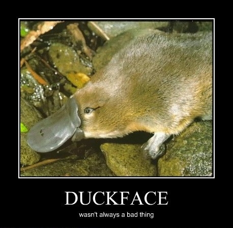 Duckface