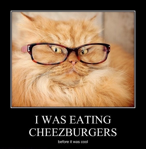 Cuz I am cool like dat!