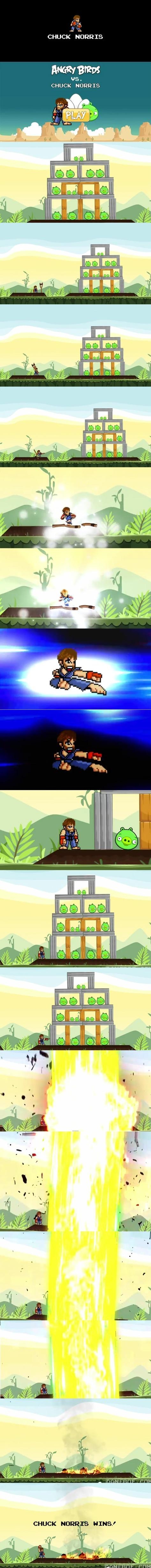 Chuck Norris vs Angry Birds