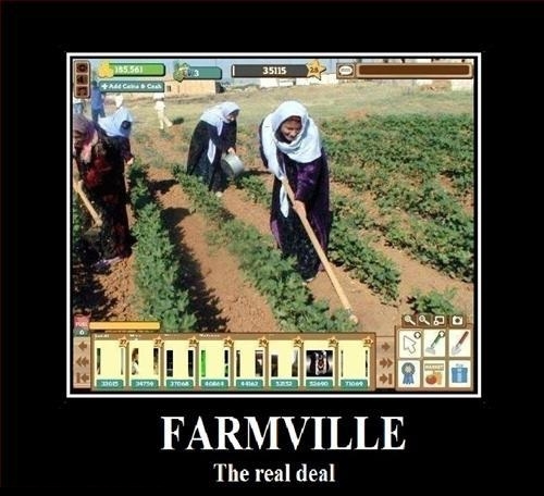 Work that soil ladies! 