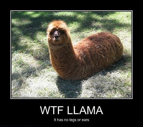 Llama-pillar!