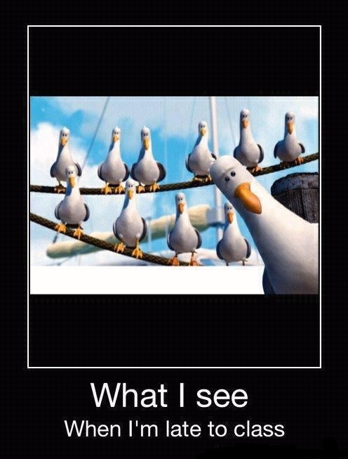 What I see...