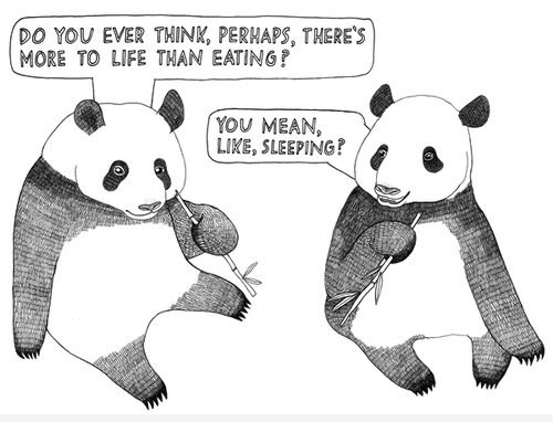 Just pandas