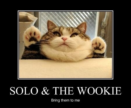 Solo and the Wookie
