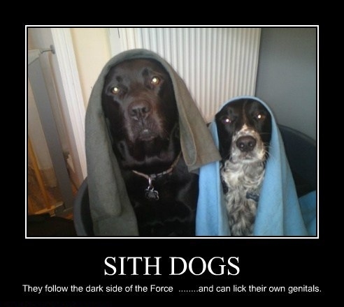 Sith dogs