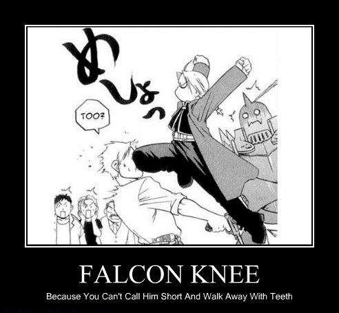 Falcon knee