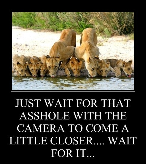 Wait for it!