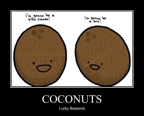 Coconuts