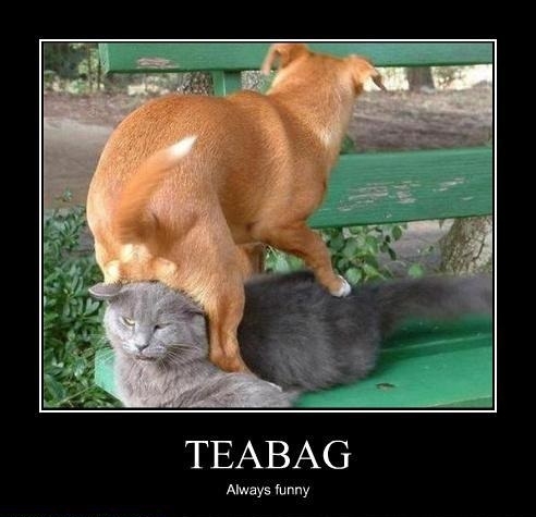 Teabag