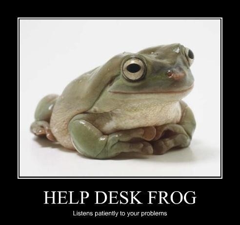 Help desk frog