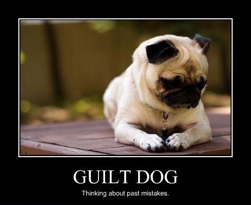 Guilt dog