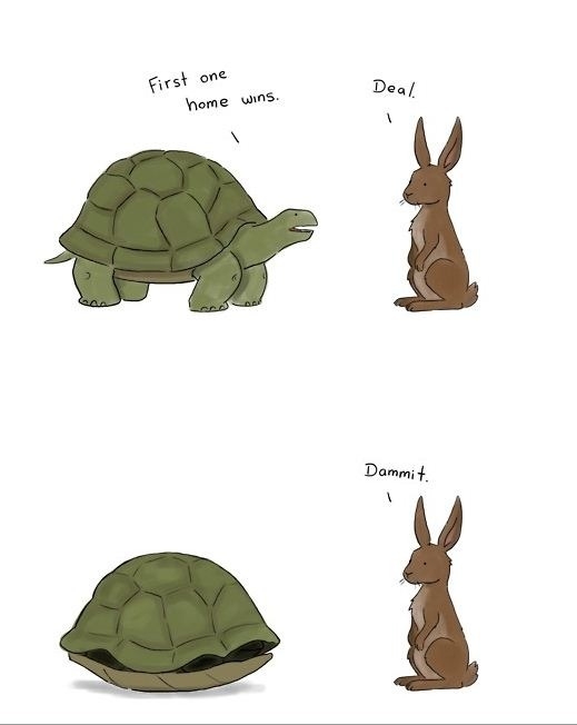 Troll turtle