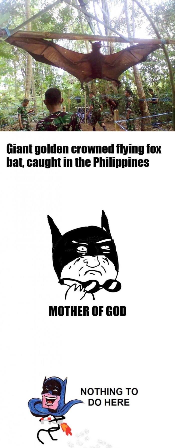 MOTHER OF BATS!