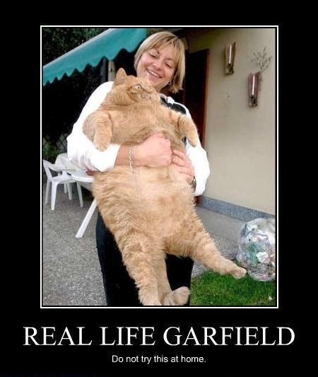 Garfield