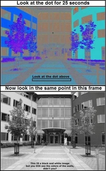 Mind Blown!
