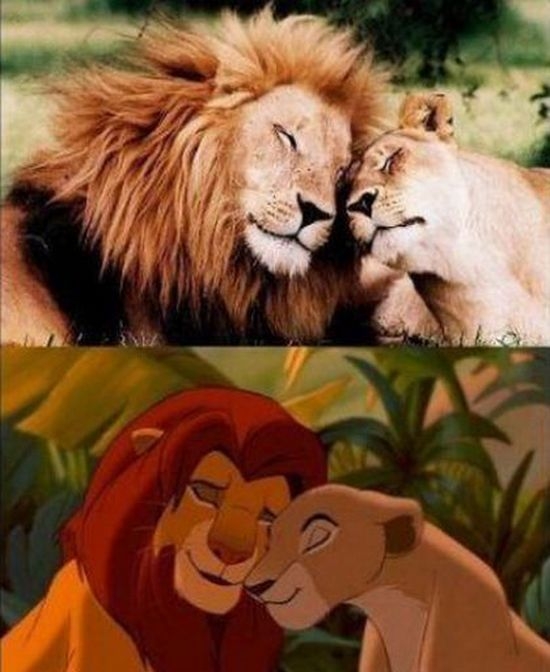 Simba and Nala