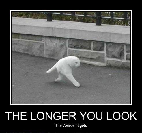 The longer you look..