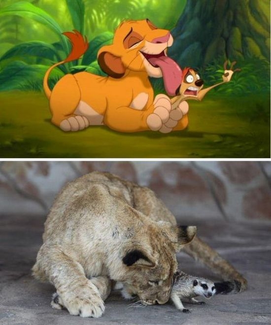 Simba and Timon