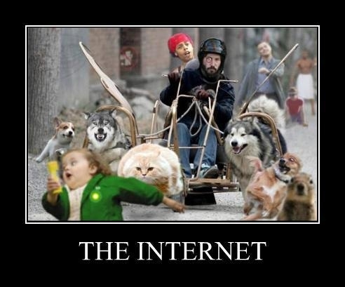 The Internet