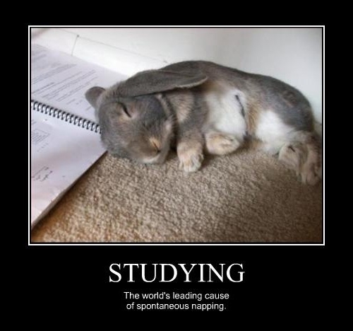Studying