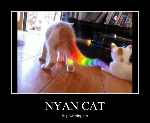 Nyan cat