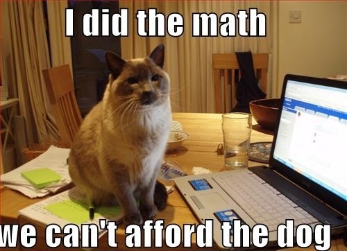 Mathematical cat