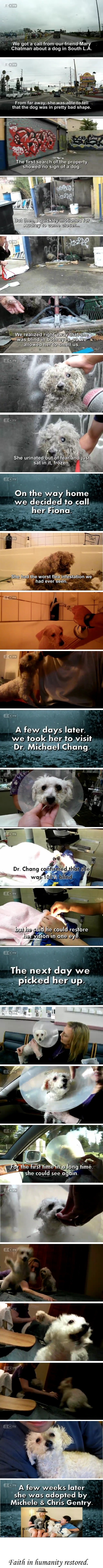 Woof means thank you