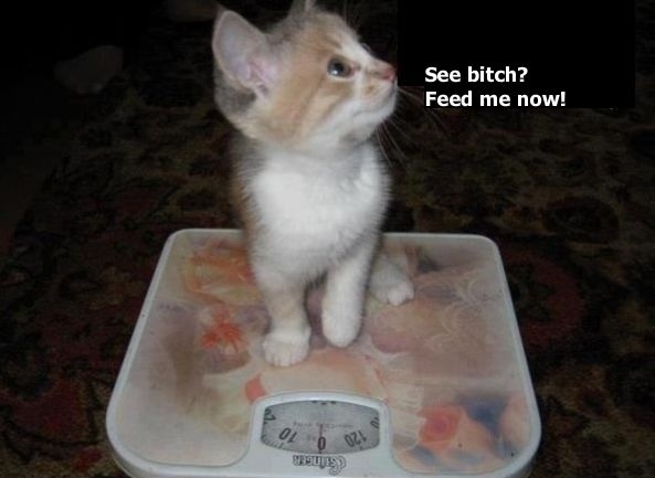 Feed me!