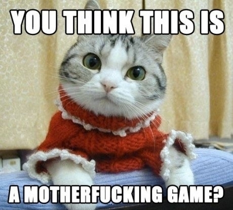 Serious kitty is serious