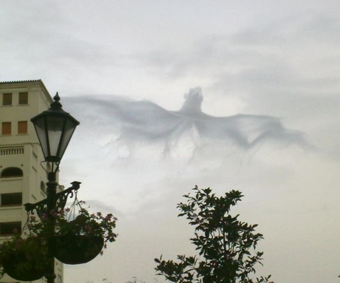 What is that?!