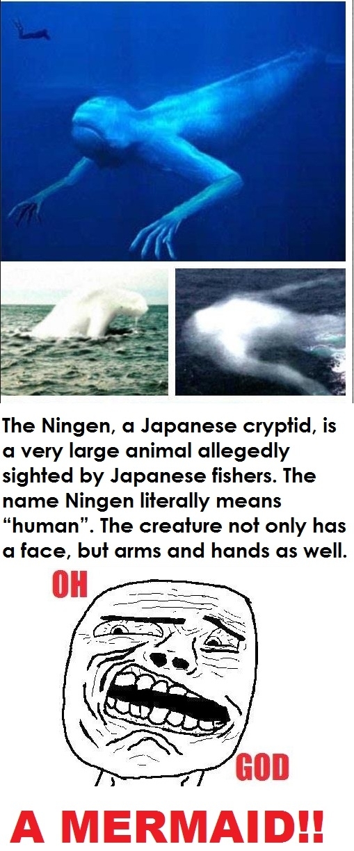 Finally, a mermaid!!!