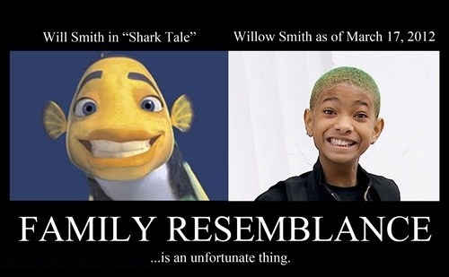 Resemblance