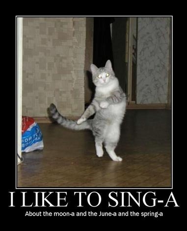 I like to sing