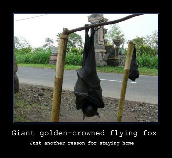 Is that you Batman?