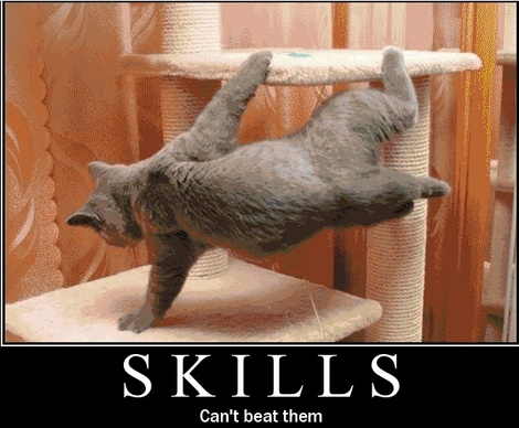 Skills