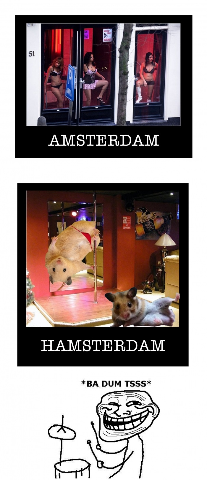 Rodents will love this place!