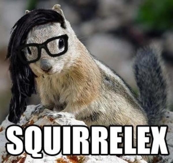 Squirrelex!!!