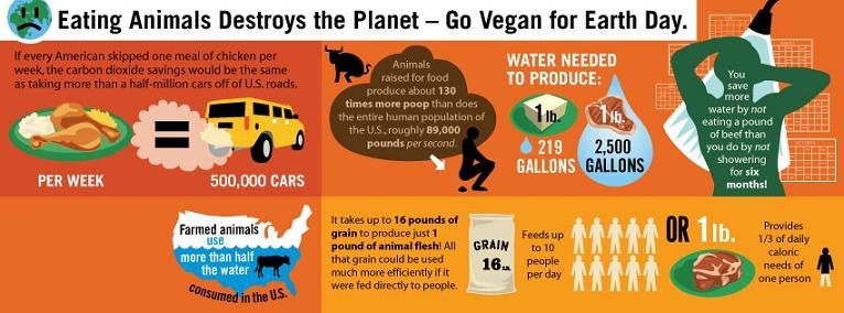 Truth about vegetarianism