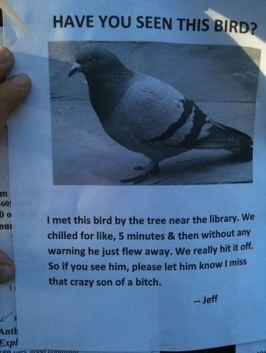 Know that feel bro?