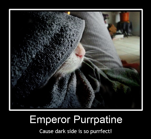 Emperor Purrpatine