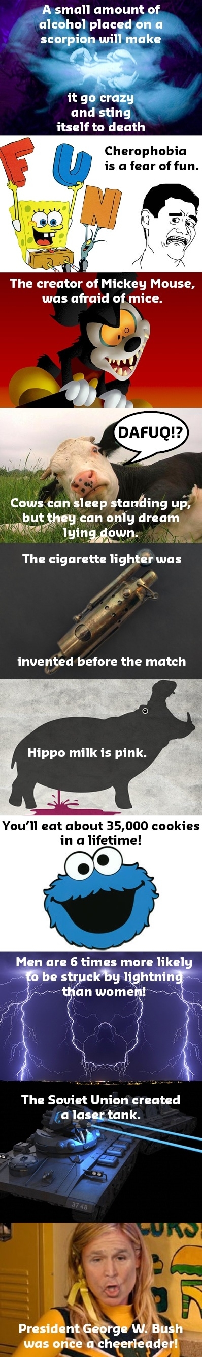 Did you know..