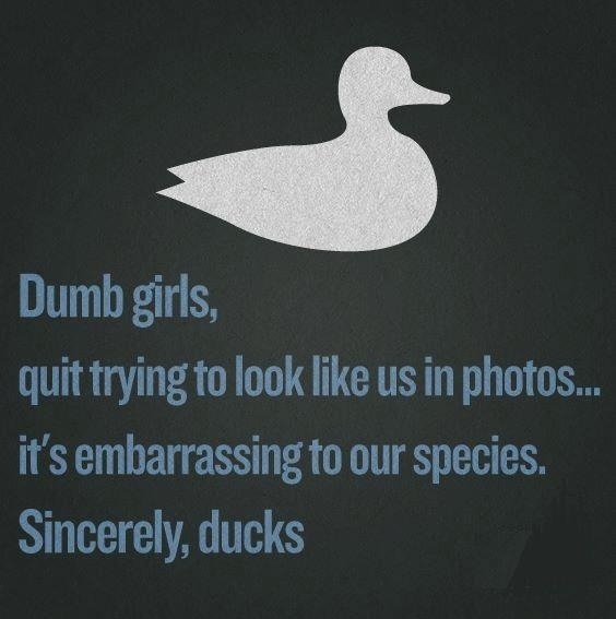 Poor ducks