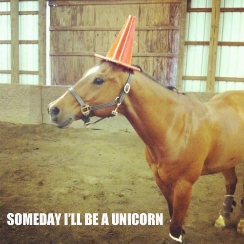 Someday I'll be a unicorn