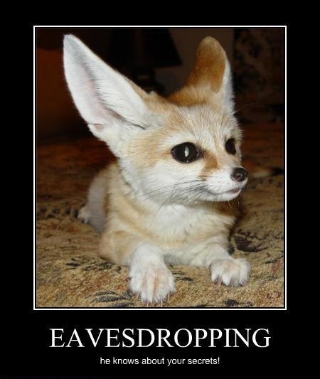 Eavesdropping