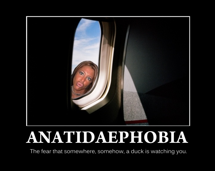 Anatidaephobia