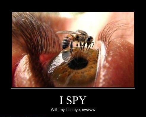 My eye hurts just looking!