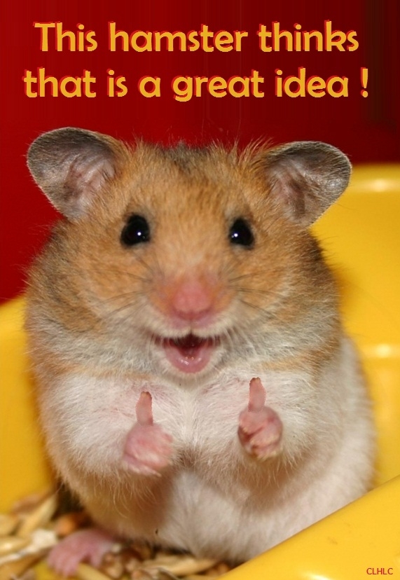 Always listen to hamsters!