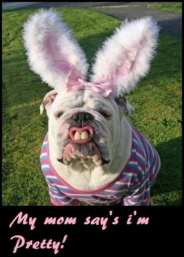 I'm the bees knees she says!