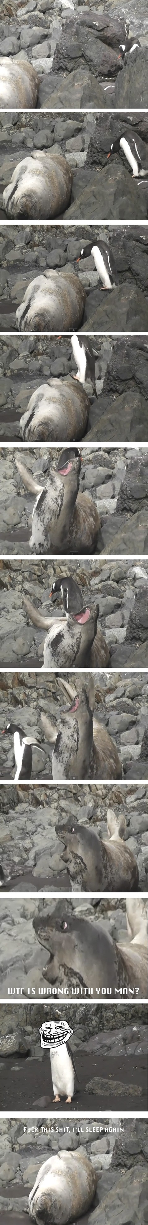 Ayyy man don't do that again!